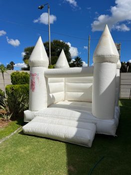 WhatsApp Image 2026-01-13 at 12.29.41 (3)